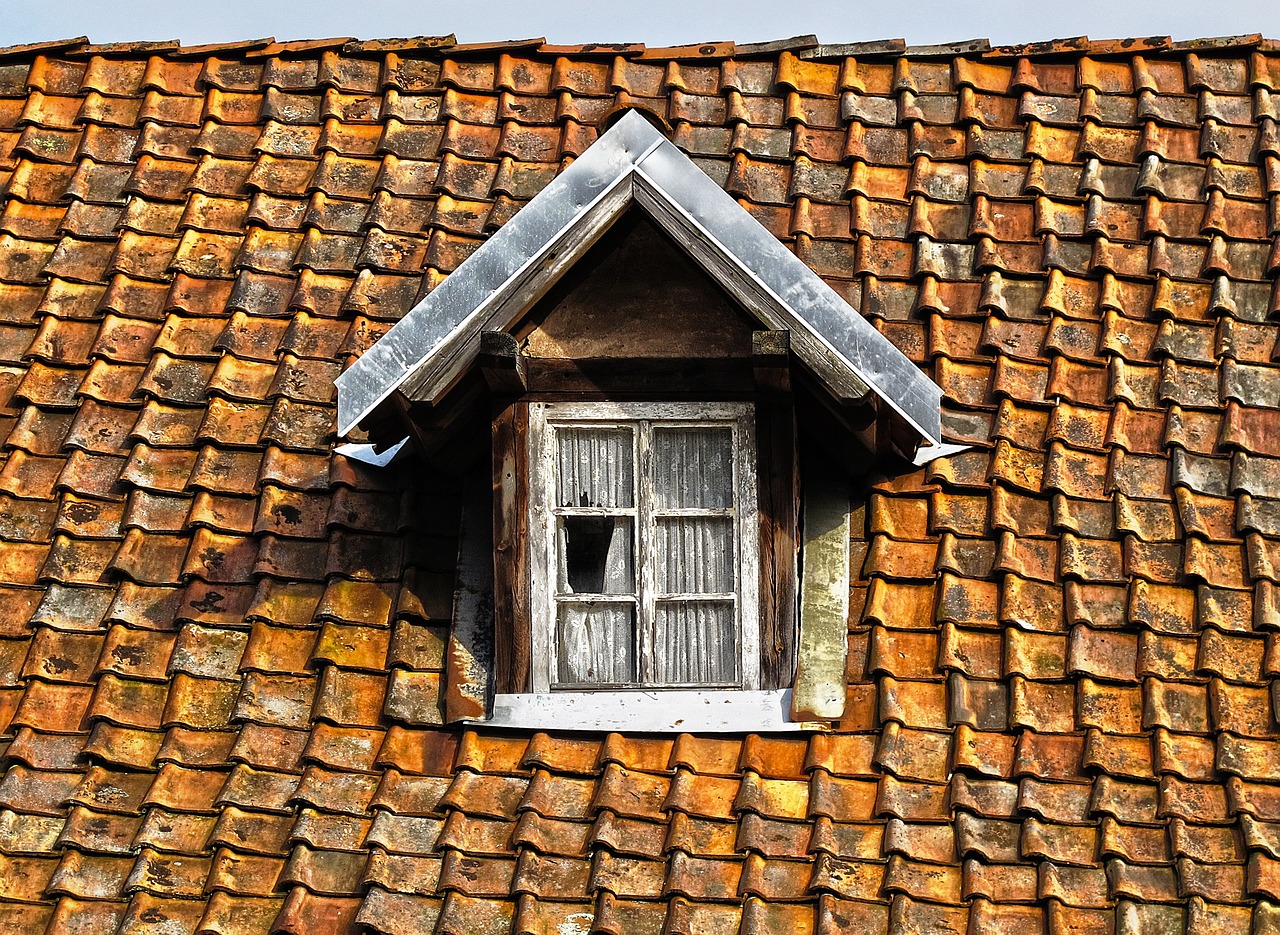 roof 